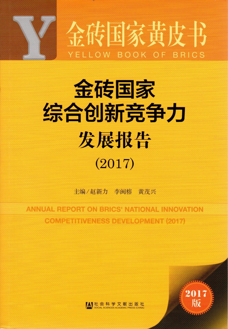 肏啊啊啊啊啊啊啊啊啊啊啊啊啊啊啊啊啊啊啊视频金砖国家综合创新竞争力发展报告（2017）